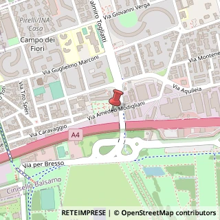 Mappa Via Modigliani, 9, 20092 Cinisello Balsamo, Milano (Lombardia)