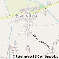 Kart Gazzo