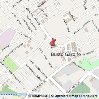 Mappa Via A. Manzoni, 36, 20038 Busto Garolfo, Milano (Lombardia)