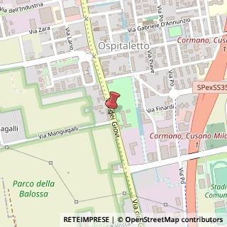 Mappa Via dei Giovi, 141, 20032 Cormano, Milano (Lombardia)