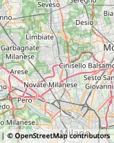 Trasporti Macchinari Nova Milanese,20834Monza e Brianza