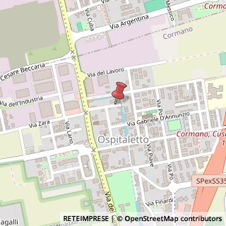 Mappa Via Tiziano, 19, 20032 Cormano, Milano (Lombardia)