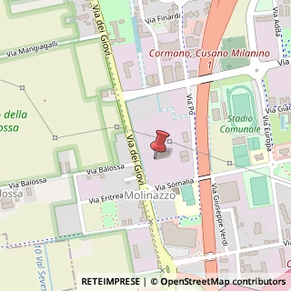 Mappa Via Po, 142, 20032 Cormano, Milano (Lombardia)