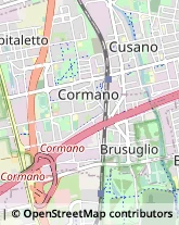 Stazioni di Servizio e Distribuzione Carburanti Cormano,20032Milano