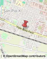 Viale della Pace, 146,36100Vicenza