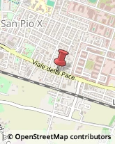 Viale della Pace, ,36100Vicenza