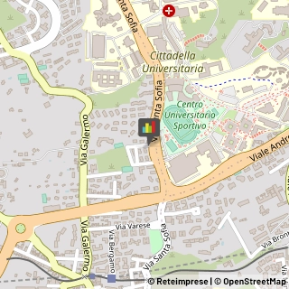 Consulenza Informatica,95123Catania