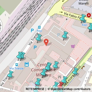 Mappa Viale Trieste, 27100 Pavia PV, Italia (0.09565)