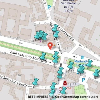 Mappa Viale Giacomo Matteotti, 27100 Pavia PV, Italia (0.06087)