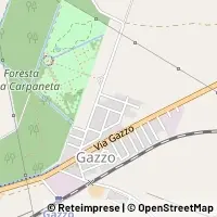 Karte San Giorgio Bigarello