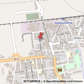 Mappa Piazza I Maggio, 26, 37058 Sanguinetto, Verona (Veneto)