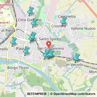 Mappa Via Carcano, 27100 Pavia PV, Italia (1.02)