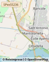 Accademie Mantova,46100Mantova