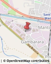 Via Correggio, 25,46010Mantova