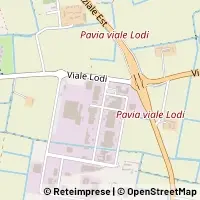 Peta Pavia