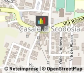 Consulenza di Direzione ed Organizzazione Aziendale Casale di Scodosia,35040Padova