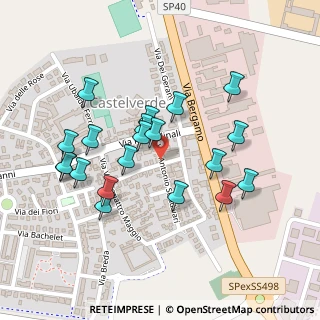 Mappa Piazza Municipio, 26022 Castelverde CR, Italia (0.224)