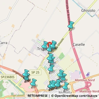 Mappa Via Mincio, 46030 Mottella MN, Italia (1.2625)