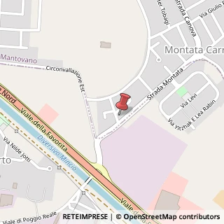 Mappa Via F. Magellano, 4, 46047 Porto Mantovano, Mantova (Lombardia)