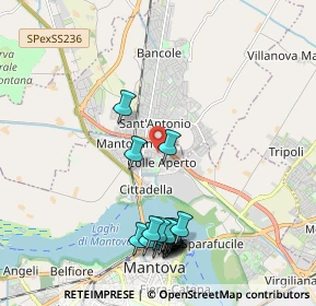 Mappa Via Paolo Bentivoglio, 46100 Mantova MN, Italia (2.2645)