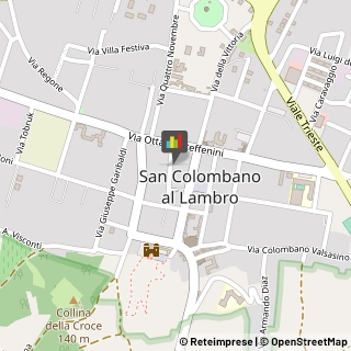 Psicologi San Colombano al Lambro,20078Milano