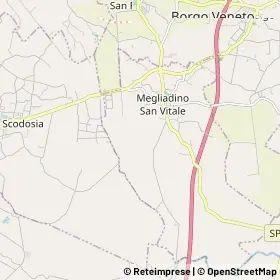 Mappa Megliadino San Vitale