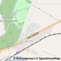 Map San Giorgio Bigarello