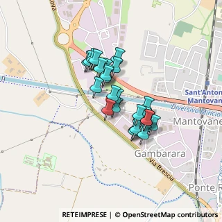 Mappa Via Novellara, 46100 Mantova MN, Italia (0.3)