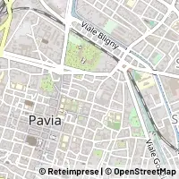 Peta Pavia