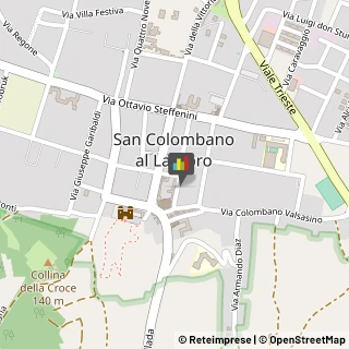 Case di Riposo e Istituti di Ricovero per Anziani San Colombano al Lambro,20078Milano