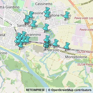 Mappa Via Molino Tre Mole, 27100 Pavia PV, Italia (1.019)