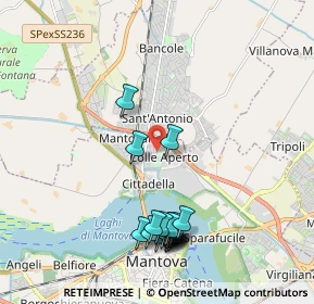 Mappa Via Jan Palach, 46100 Mantova MN, Italia (2.166)
