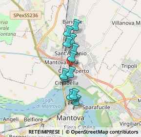 Mappa Via Jan Palach, 46100 Mantova MN, Italia (1.26)