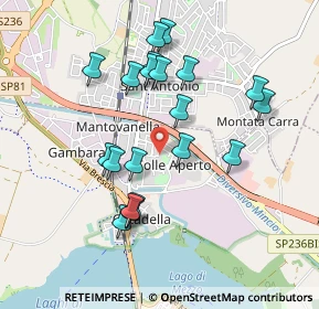 Mappa Via Jan Palach, 46100 Mantova MN, Italia (0.89)