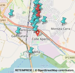 Mappa Via Jan Palach, 46100 Mantova MN, Italia (1.0315)