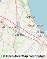 Agrumi Cesenatico,47042Forlì-Cesena