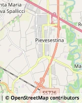 Traduttori ed Interpreti Cesena,47522Forlì-Cesena