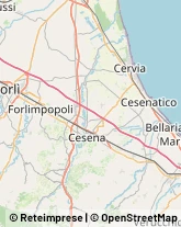 Ortopedia e Traumatologia - Medici Specialisti Cesenatico,47042Forlì-Cesena