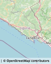 Serramenti ed Infissi, Portoni, Cancelli Casarza Ligure,16030Genova