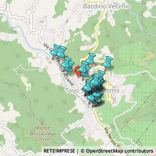 Mappa Via Giorni, 17020 Tovo San Giacomo SV, Italia (0.325)