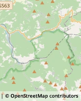 Studi Medici Generici Casola in Lunigiana,54014Massa-Carrara