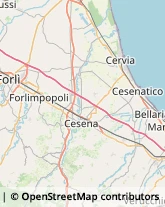 Alimenti Dietetici - Dettaglio Meldola,47014Forlì-Cesena