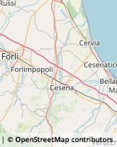 Articoli Sportivi - Produzione Forlì,47100Forlì-Cesena