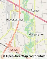 Articoli Sportivi - Produzione Cesena,47521Forlì-Cesena