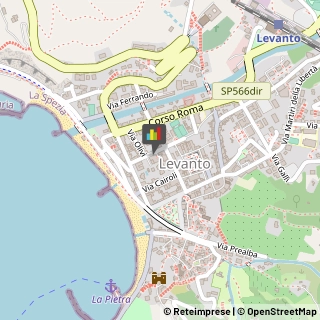 Massaggi Levanto,19015La Spezia