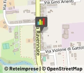 Calzature - Dettaglio,47023Forlì-Cesena