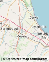 Traduttori ed Interpreti Bertinoro,47032Forlì-Cesena