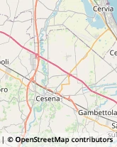 Traduttori ed Interpreti Cesena,47522Forlì-Cesena