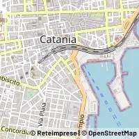 Peta Catania