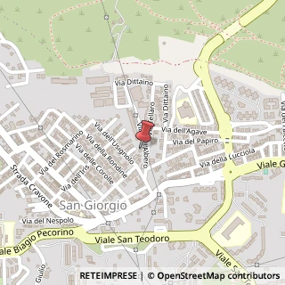 Mappa Via dell'Albero, 17, 95121 Catania, Catania (Sicilia)